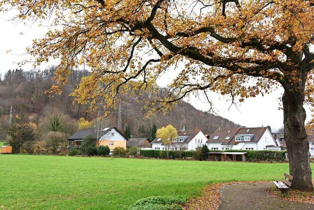 Der Hllsteiner Scherracker ist jetzt ...t fasste einen einstimmigen Beschluss.  | Foto: Robert Bergmann