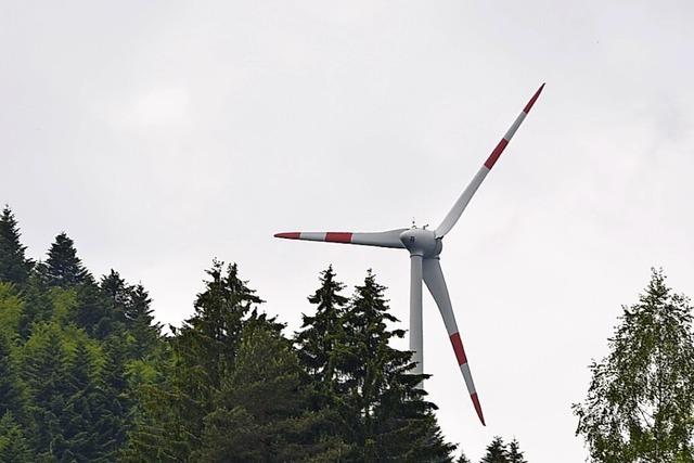 Schwarzwalddorf Fröhnd liebäugelt mit mehr Windkraft