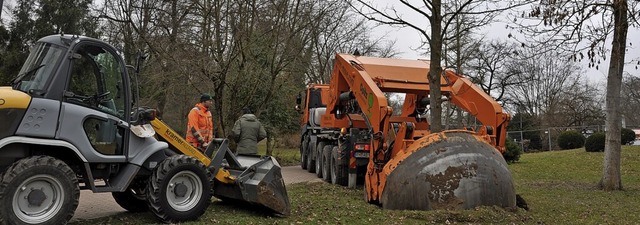 Mit schwerem Gert wurden im Kurpark vier groe Bume verpflanzt.  | Foto: Jutta Schtz