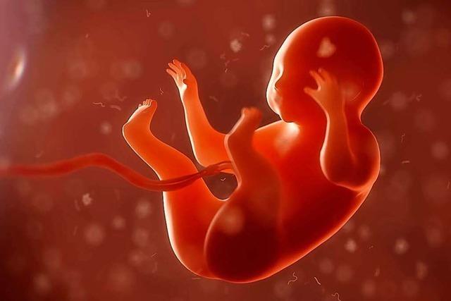 Pinkeln Babys schon vor der Geburt im Mutterleib?