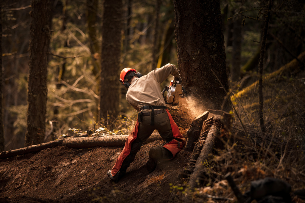 Why so many builders rely on so-called moon wood – district of Breisgau-Hochschwarzwald