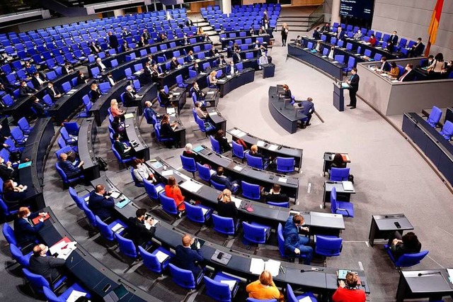 Im Bundestag wurde in der vergangenen ...s Fechner bei einer Online-Diskussion.  | Foto: Kay Nietfeld (dpa)