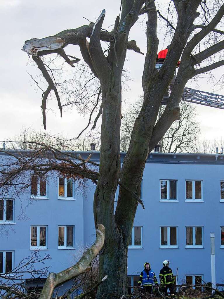 Die Feuerwehr rumt einen umgestrzten Baum aus einem Park in Stralsund in Mecklenburg-Vorpommern.