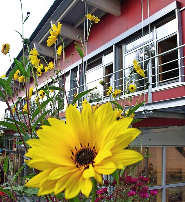 Die Waldorfschule will ihren Beitrag zum Klimaschutz leisten.  | Foto: Freie Waldorfschule Lrrach