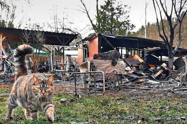 Die Katze hat den Brand wohlbehalten ...m Gegensatz zu den Anlagen hinter ihr.  | Foto: Michael Bamberger