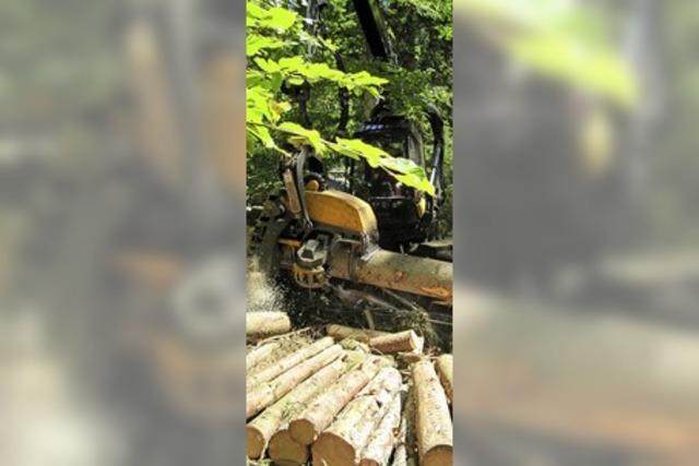 1 142 Festmeter Holz geerntet