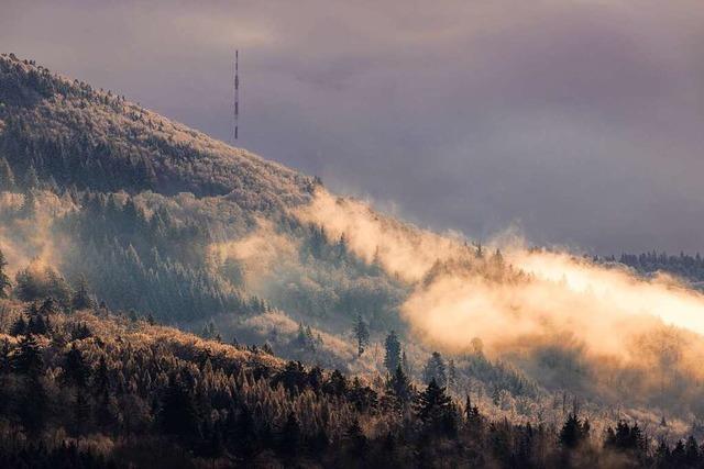 Der Bergalinger Funkturm ragt ber dem Nebel