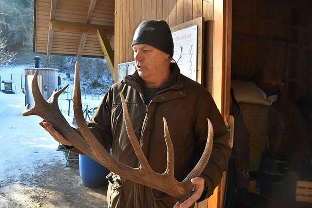 Andreas Mikat erlebte 2021 im Zeller Wildgehege nicht nur einen Wildschwein-Angriff