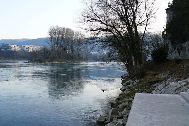 An der Fridolinsinsel im Rhein fliet ...r die Jahreszeit ist das aber normal.  | Foto: Christoph Giese