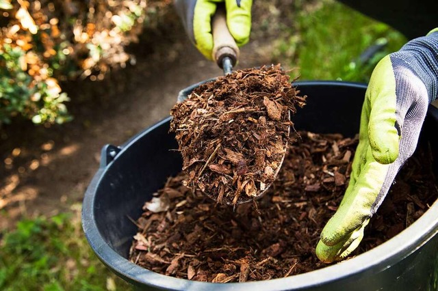 Ein Kompost ist ein Weg, dem Gartenboden etwas zurckzugeben.  | Foto: Christin Klose (dpa)