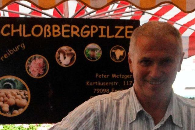 Willi Schillinger verkauft Pilze aus dem Hirzbergbunker am Freiburger Schlossberg