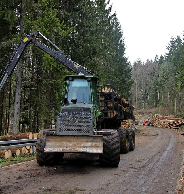 An mehreren Stellen im Kreis Waldshut ...beiten entlang von Straen vorgesehen.  | Foto: Leah Binzer