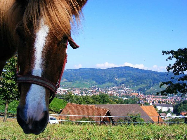 Das Pferd auf der Koppel interessiert ...afen als fr den Blick auf Oberkirch.   | Foto: Pascal Cames