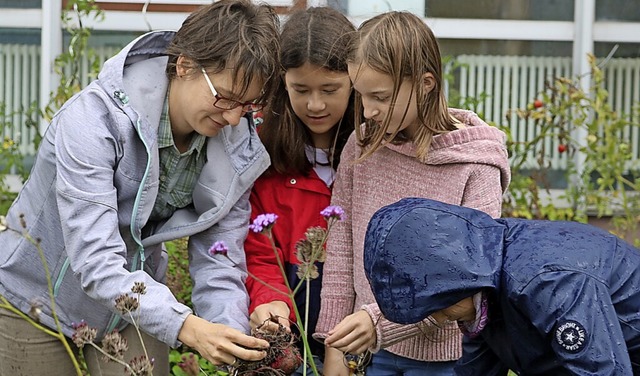 Arbeiten auf dem grnen Schulcampus in Ettenheim.   | Foto: Heimschule Ettenheim