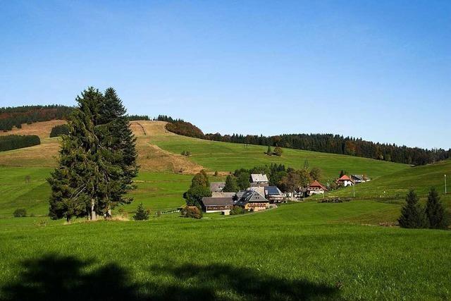 Auf der Bergzeitfahrstrecke Fuchswald zwischen Schönau und Herrenschwand können sich Radler unter Beweis stellen