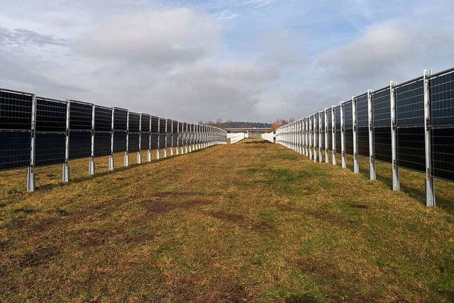 So wie dieser Solarpark bei Aasen soll...irtschaftliche Nutzung bleibt mglich.  | Foto: next2sun