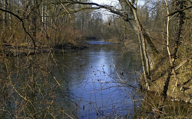 Durch den Altenheimer Rheinwald fhren...des Arbeitskreises Tourismus Neuried.   | Foto: Kurt Heitz