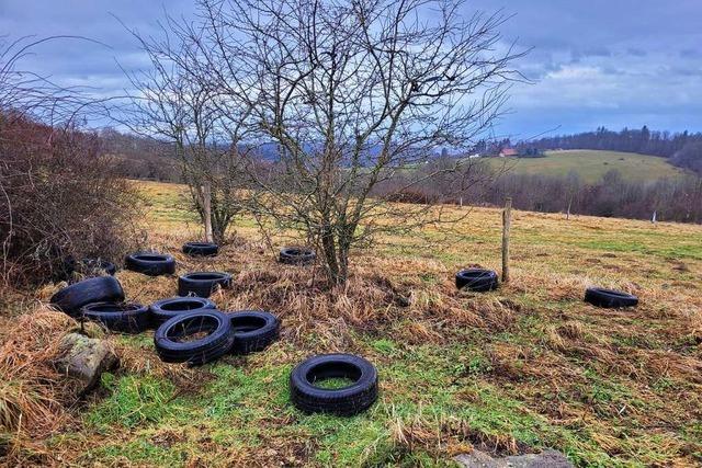 Auf dem Langenhard werden alte Reifen und Mll illegal entsorgt