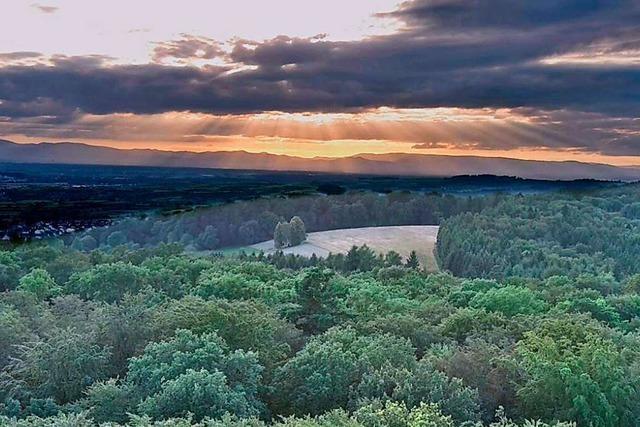 Magisches Licht ber dem Wpplinsberg bei Emmendingen