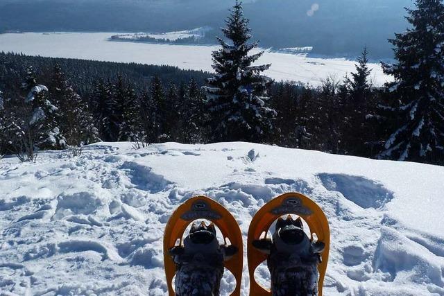 Winterwandern von Altglashütten nach Bärental und nach Aha