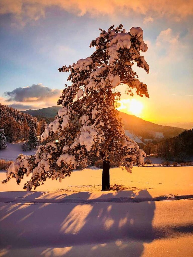 Sonnenuntergang im Zweitlerland.  | Foto: Roxana Haus