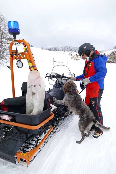 Lawinenhundeführer Johannes Hepting mi...berg zum Lawinenhund ausgebildet wird.  | Foto: Sarah Trinler