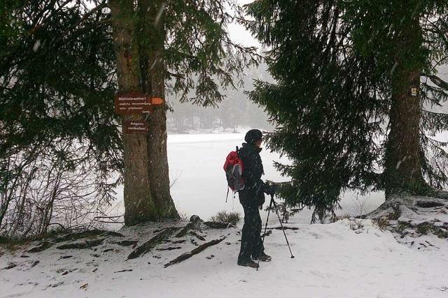 Diese Apps geben Tipps für Winterwanderungen im Schwarzwald