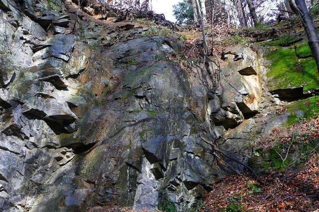 Im Steinbruch bei Herdern wurde einst Amphibolit abgebaut