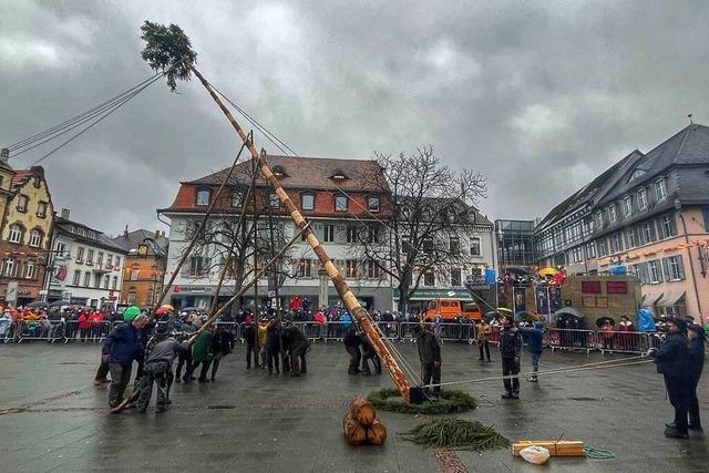 Der Lrracher Narrenbaum wird in Rekordzeit hochgestemmt