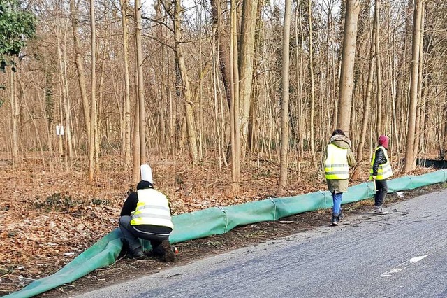 Helfer bauen den Zaun auf. Das Truz  k... den Wassergrten im Dreilndergarten.  | Foto: Trinationales Umweltzentrum