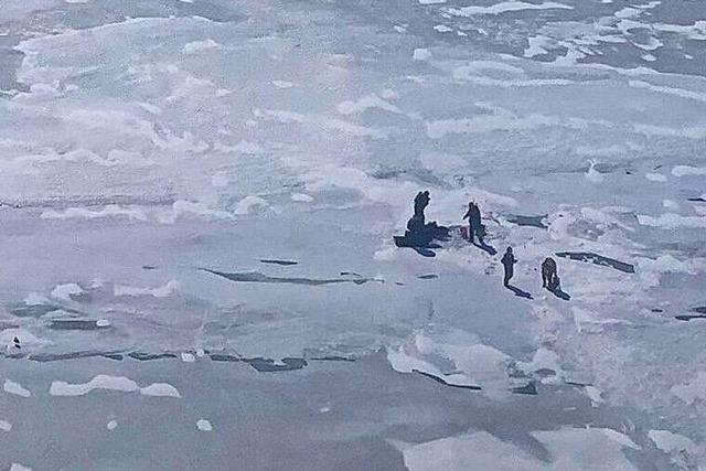Gestrandet auf einer Eisscholle: 18 Menschen gerettet