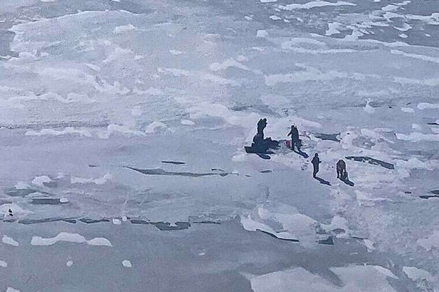 Gestrandet auf einer Eisscholle  | Foto: United States Coast Guard (dpa)