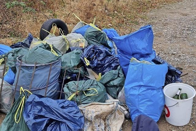 Die Tiengen-Cleaner haben viele Helfer