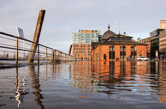 Hier, in Hamburg, hat die Wasserschutz...d dass alle Regeln eingehalten werden.  | Foto: Daniel Bockwoldt (dpa)