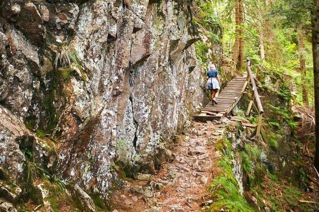 Sieben ausgezeichnete Wanderwege in der Region Freiburg