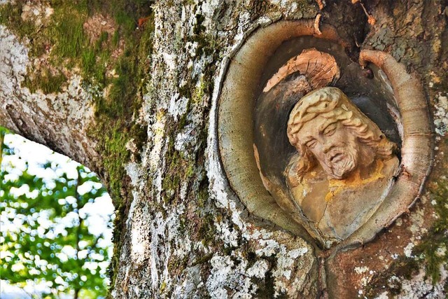 Eingewachsen in einem Baum: der Balzer Herrgott, der einem Weg den Namen gab.  | Foto: Angelika Schmidt