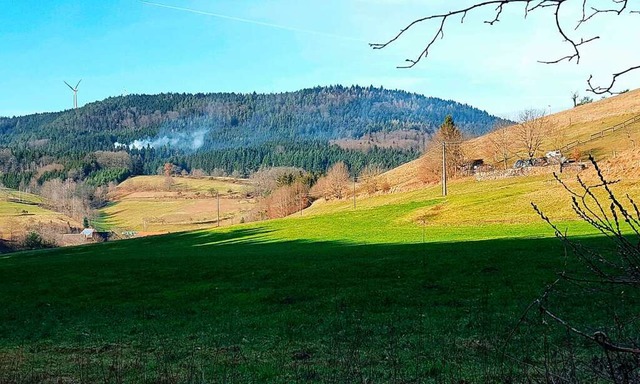 Eine Wiese im vorderen Durenbach in D...den neuen Wald- und Naturkindergarten.  | Foto: Beate Zehnle-Lehmann