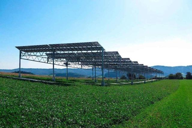 Landwirte in der Region Freiburg knnen die Energiewende voranbringen