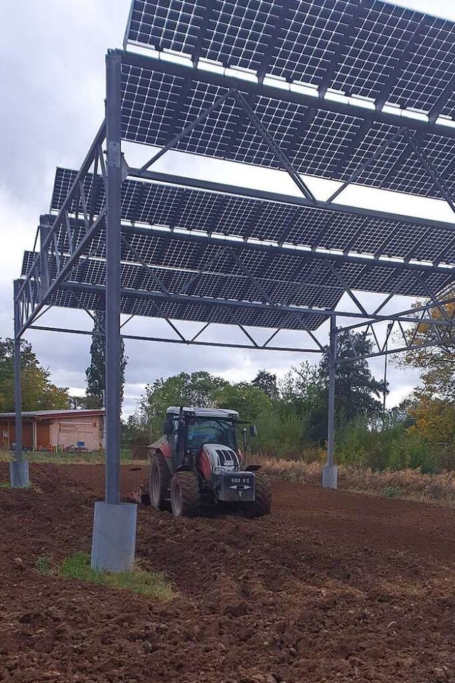 In Denzlingen ist eine Agriphotovoltai...nter den Solaranlagen hindurch fahren.  | Foto: Thomas Trenkle