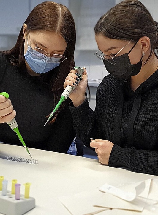 Zur Abi-Vorbereitung  haben Zwölftklässler Antigen-Tests erkundet.  | Foto: Ingo Kilian