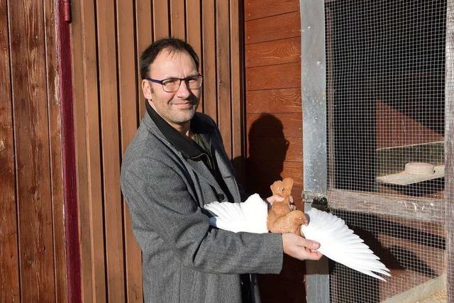 Rheinfelder Tauben- und Geflügelzüchter haben einen Europameister in ihren Reihen