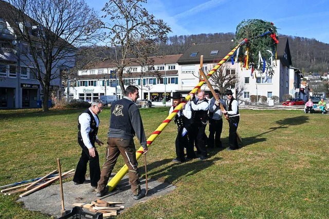 Ruckzuck stand der Baum &#8211; allerdings ist er auch kleiner als blich.  | Foto: Martin Eckert