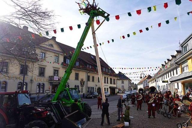 Fotos: In Grwihl steht der Narrenbaum auf dem Kopf