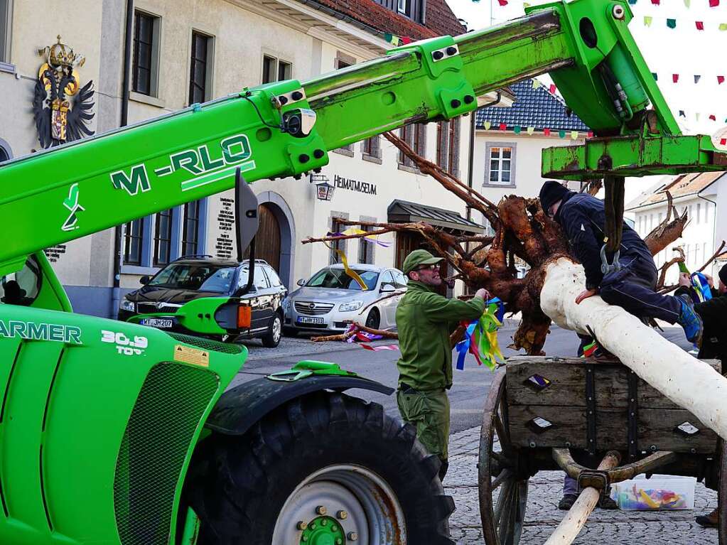 Eindrcke vom Narrenbaumstellen in Grwihl