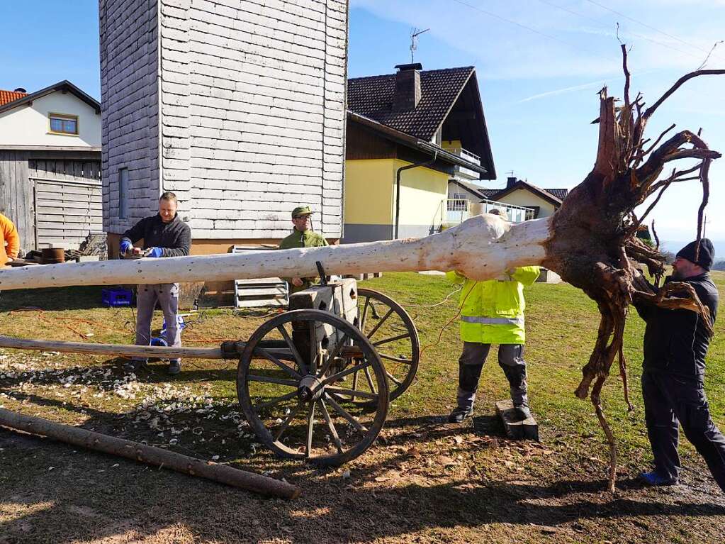 Eindrcke vom Narrenbaumstellen in Grwihl