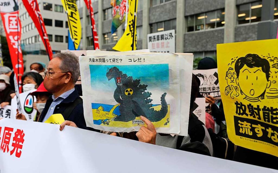 Protest in Tokio gegen die Regierungspläne  | Foto: Du Xiaoyi via www.imago-images.de