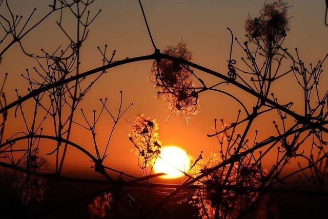 Sonnenuntergang am lberg