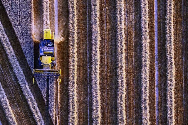 Ein Mhdrescher erntet ein Weizenfeld ab (Archivbild)  | Foto: Volker Lannert (dpa)