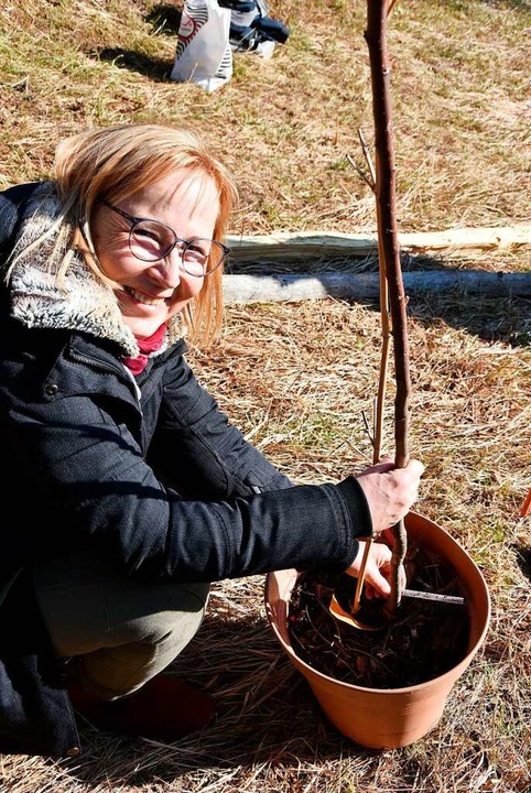 Biologin Petra Stumpf half dabei, die ... an Obstbäumen in die Erde zu bringen.  | Foto: Heinz und Monika Vollmar