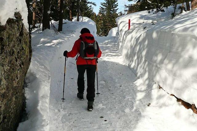 Schneeschuh- und Winterwandern im Engadin im Schatten der Bernina